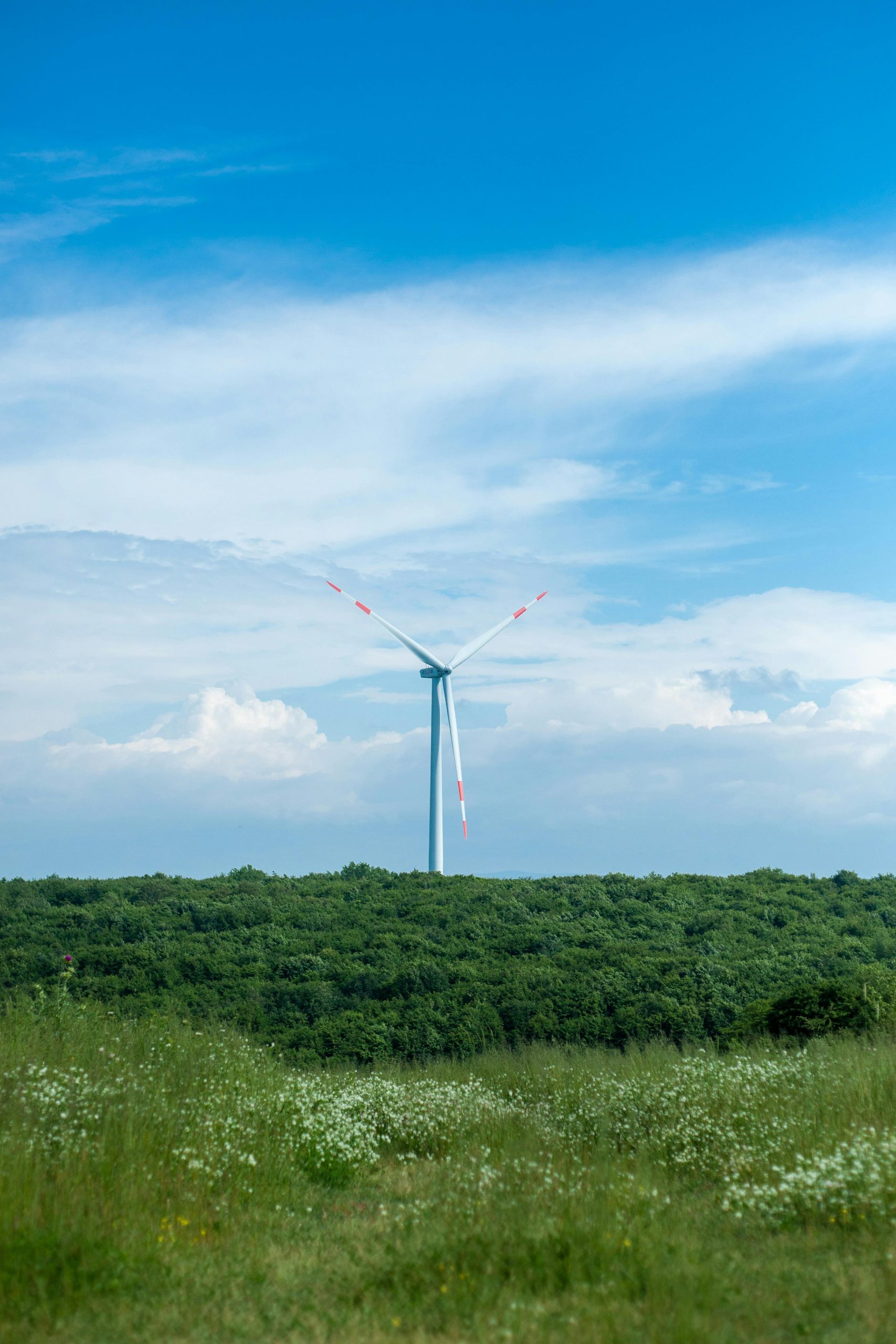 A wind turbine stands tall amidst green fields and a blue summer sky.